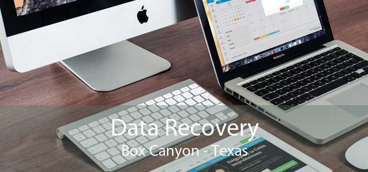 Data Recovery Box Canyon - Texas