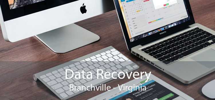 Data Recovery Branchville - Virginia