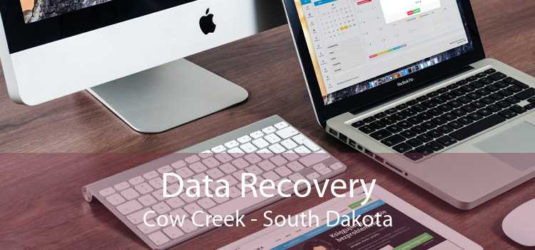 Data Recovery Cow Creek - South Dakota