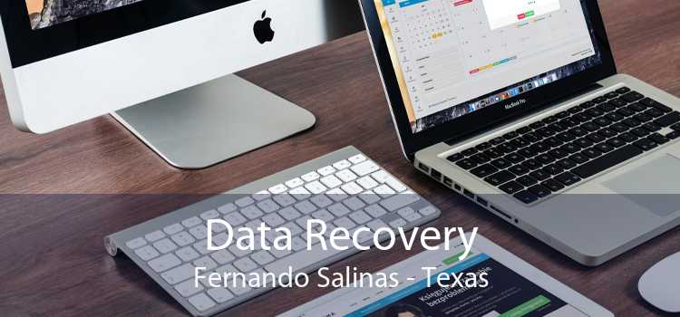 Data Recovery Fernando Salinas - Texas