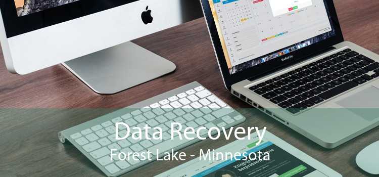 Data Recovery Forest Lake - Minnesota