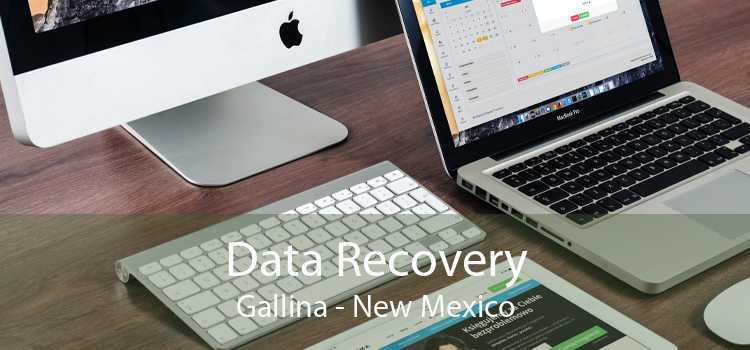 Data Recovery Gallina - New Mexico