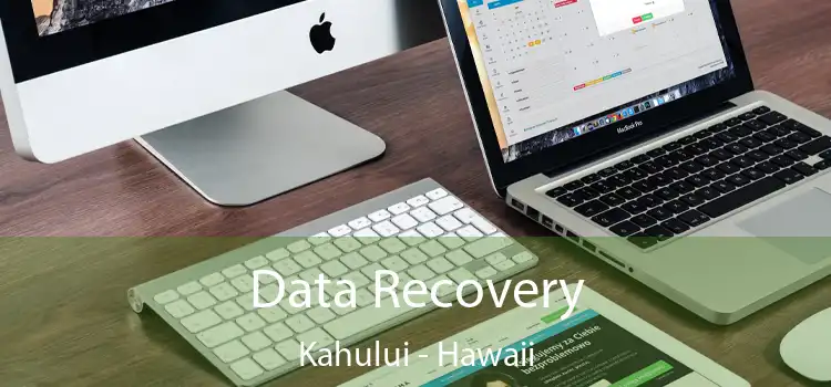 Data Recovery Kahului - Hawaii