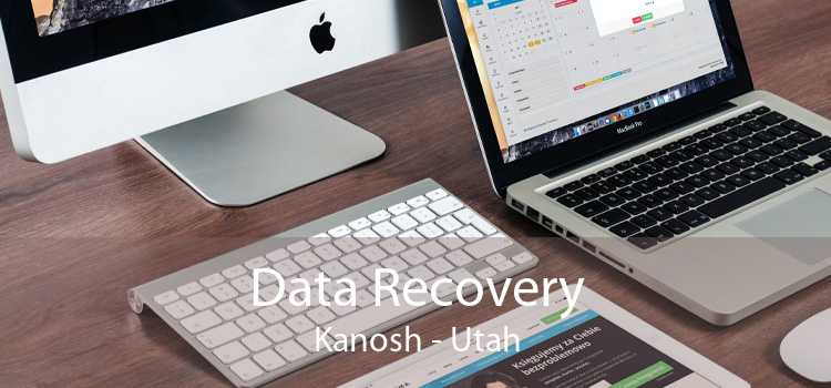 Data Recovery Kanosh - Utah