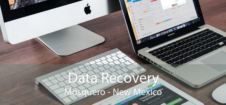 Data Recovery Mosquero - New Mexico