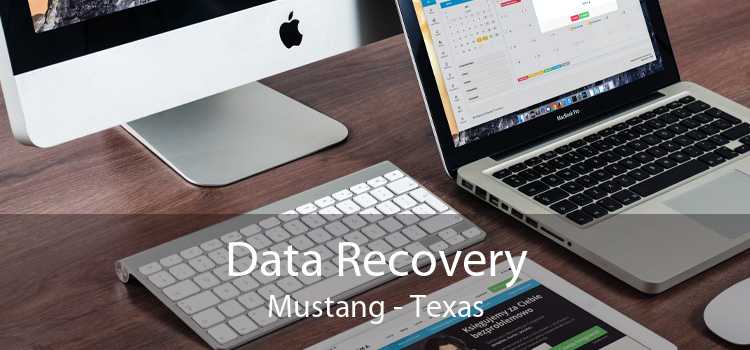 Data Recovery Mustang - Texas