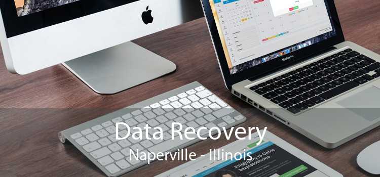 Data Recovery Naperville - Illinois
