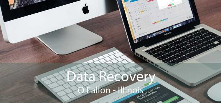 Data Recovery O Fallon - Illinois