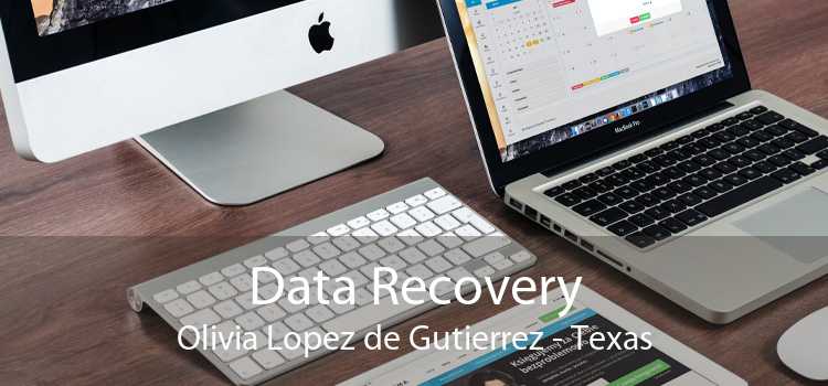 Data Recovery Olivia Lopez de Gutierrez - Texas
