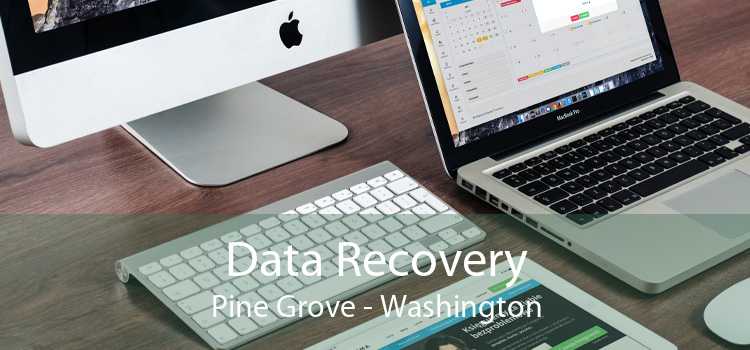 Data Recovery Pine Grove - Washington