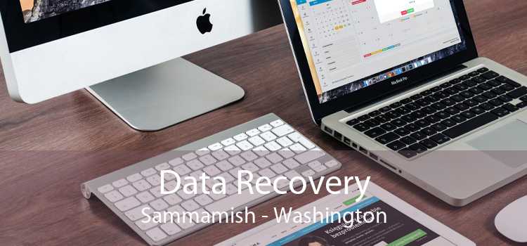 Data Recovery Sammamish - Washington
