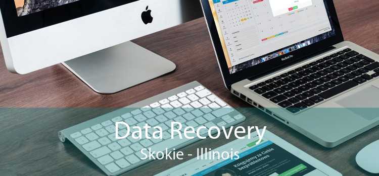 Data Recovery Skokie - Illinois