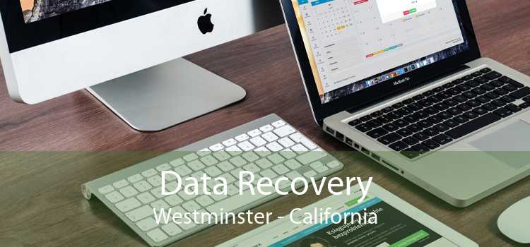 Data Recovery Westminster - California