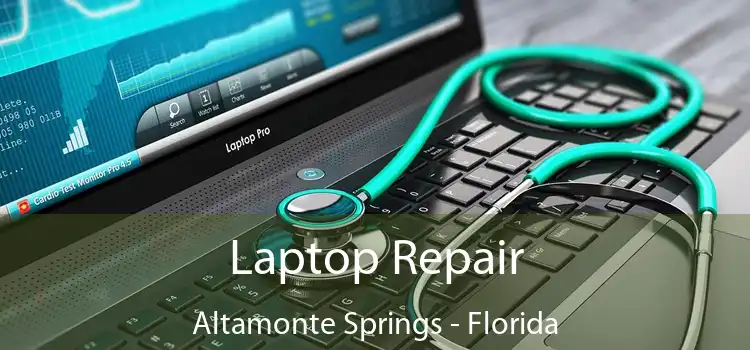 Laptop Repair Altamonte Springs - Florida