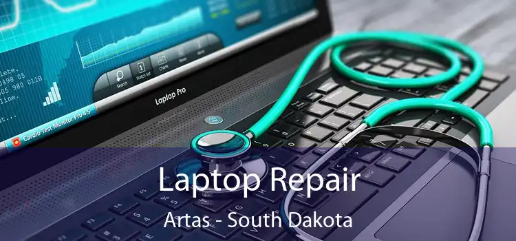 Laptop Repair Artas - South Dakota