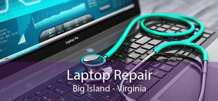 Laptop Repair Big Island - Virginia