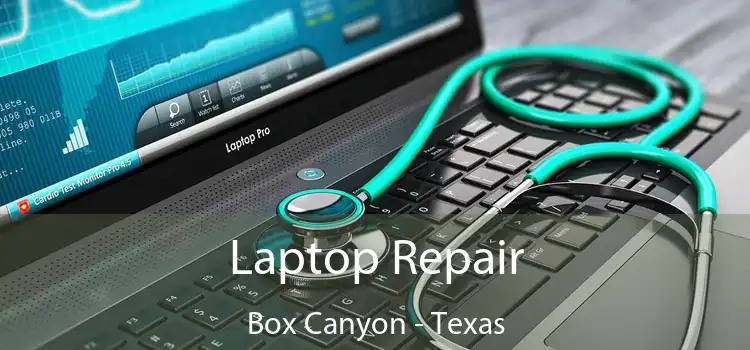 Laptop Repair Box Canyon - Texas