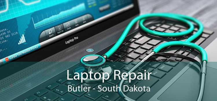 Laptop Repair Butler - South Dakota
