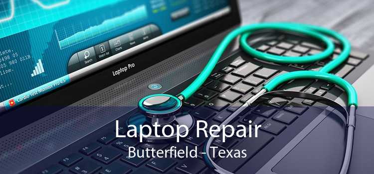 Laptop Repair Butterfield - Texas