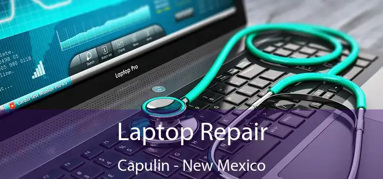Laptop Repair Capulin - New Mexico