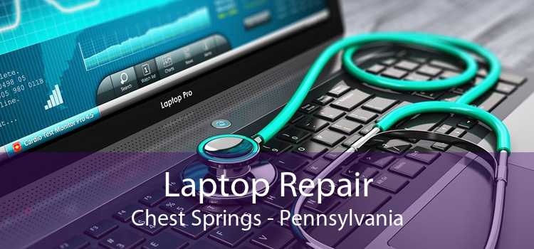 Laptop Repair Chest Springs - Pennsylvania