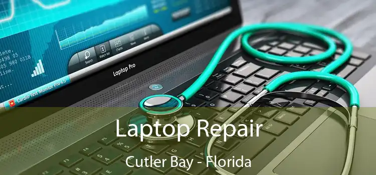 Laptop Repair Cutler Bay - Florida