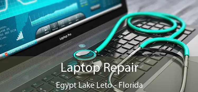 Laptop Repair Egypt Lake Leto - Florida