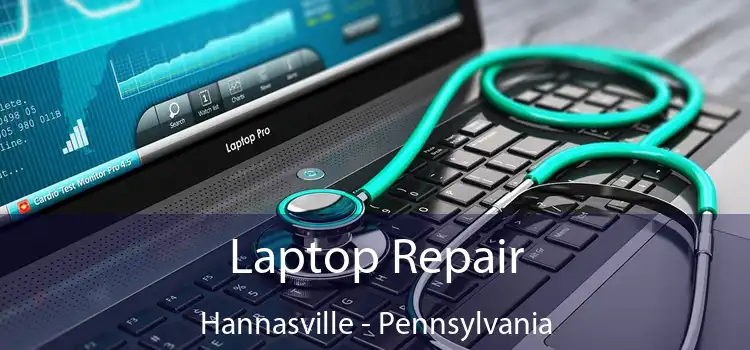Laptop Repair Hannasville - Pennsylvania