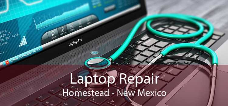 Laptop Repair Homestead - New Mexico