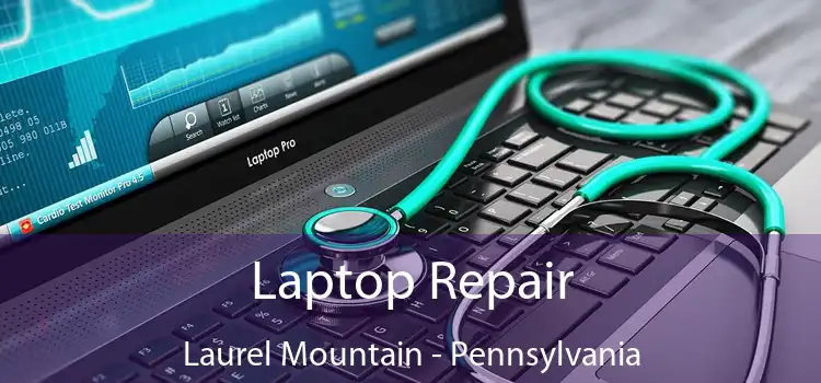 Laptop Repair Laurel Mountain - Pennsylvania