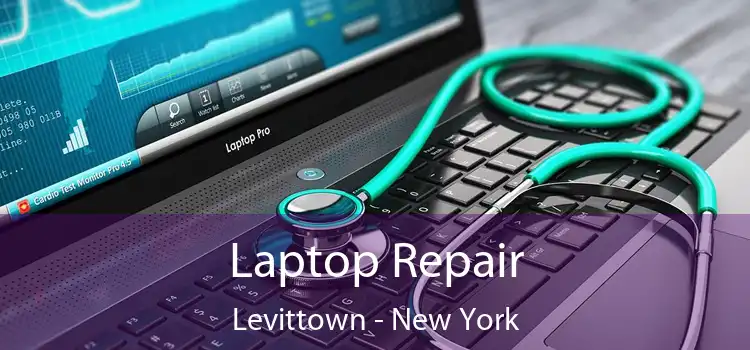 Laptop Repair Levittown - New York