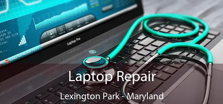 Laptop Repair Lexington Park - Maryland