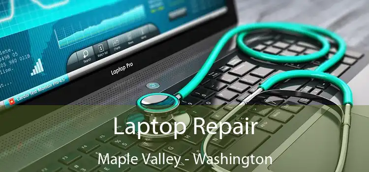 Laptop Repair Maple Valley - Washington