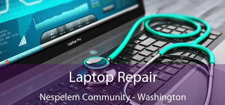 Laptop Repair Nespelem Community - Washington