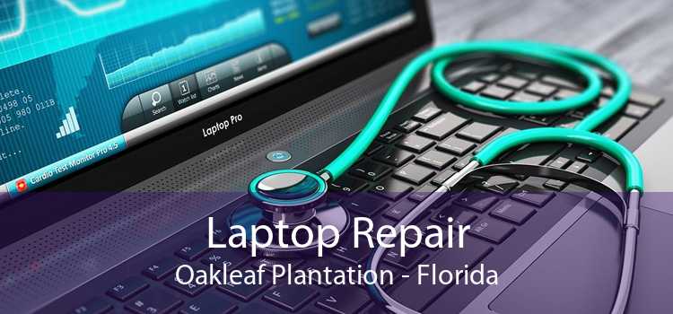 Laptop Repair Oakleaf Plantation - Florida
