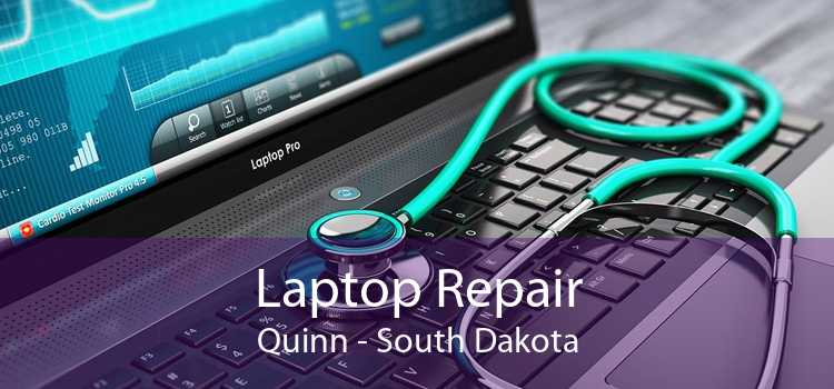 Laptop Repair Quinn - South Dakota