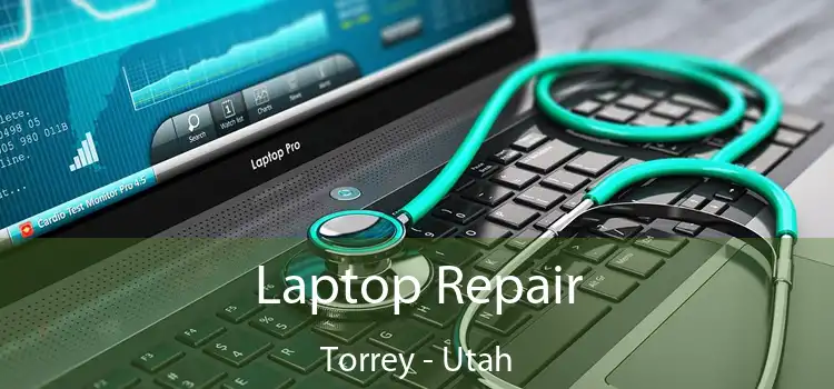 Laptop Repair Torrey - Utah